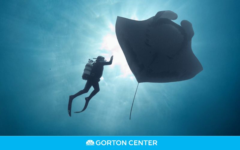 Lake County Film Festival: The Last Dive at Gorton Center